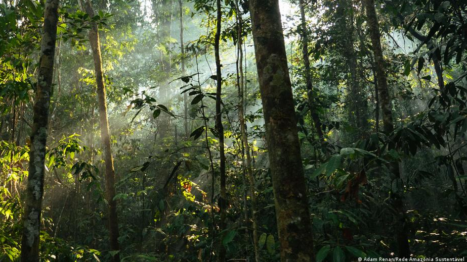 52419697_1004 52419697_1004