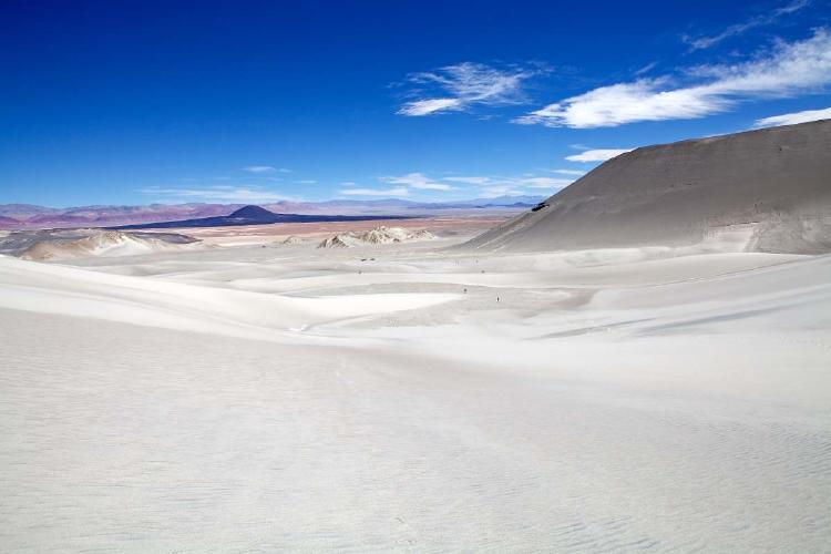 cop16 salinas cop16 salinas