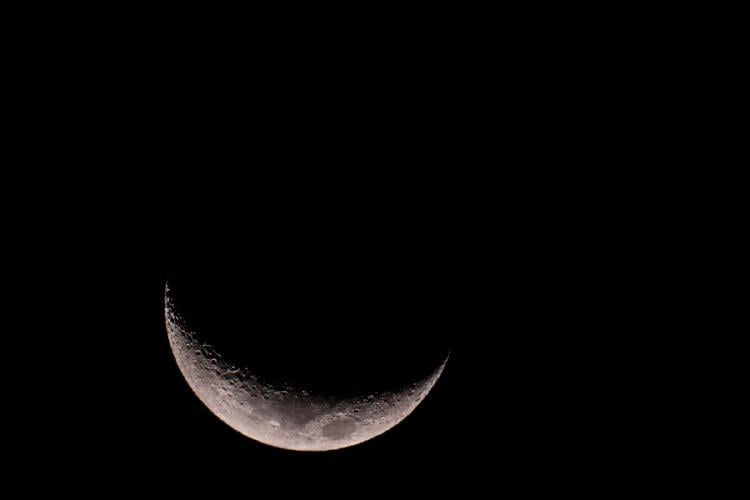 Luna Nueva Luna Nueva