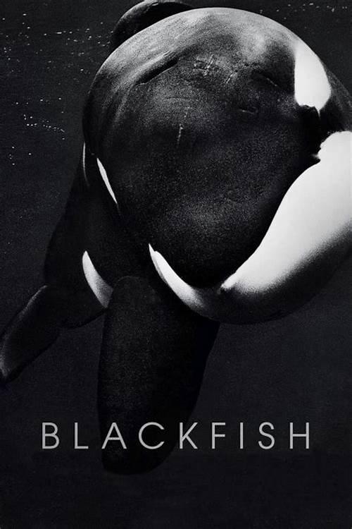 Blackfish Tras su estreno, Blackfish generó un cambio significativo en la percepción pública de los parques acuáticos.