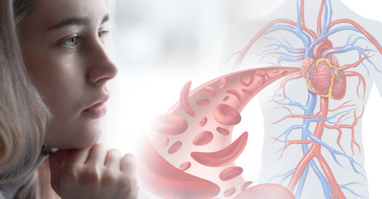 anemia significado emocional Descubre el significado emocional de la anemia