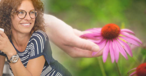 Refuerza tu sistema inmunológico con esta poderosa planta