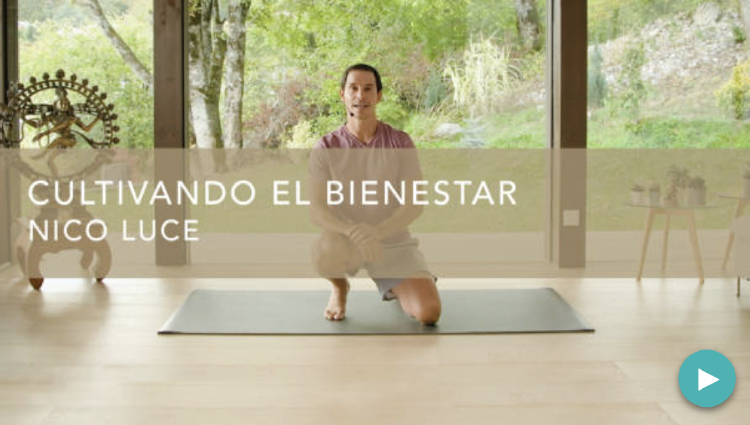 Captura de Pantalla 2022 12 16 a la(s) 11.31.14 Captura de Pantalla 2022 12 16 a la(s) 11.31.14