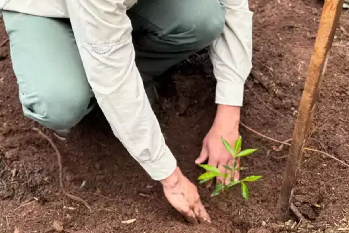 naturalezanideport.com