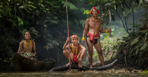 grupos indigenas biodiversidad