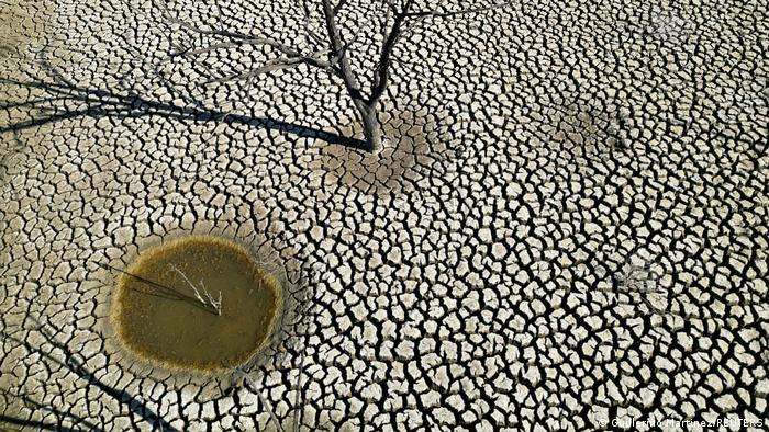 65463080_303 65463080_303