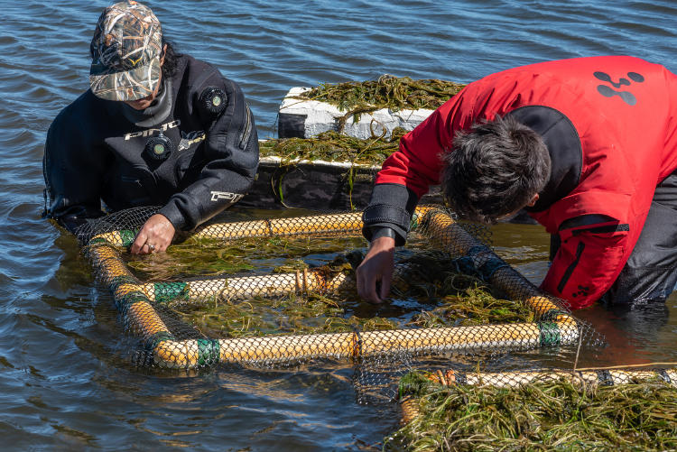 Adri Sanz (4) Adri Sanz (4)