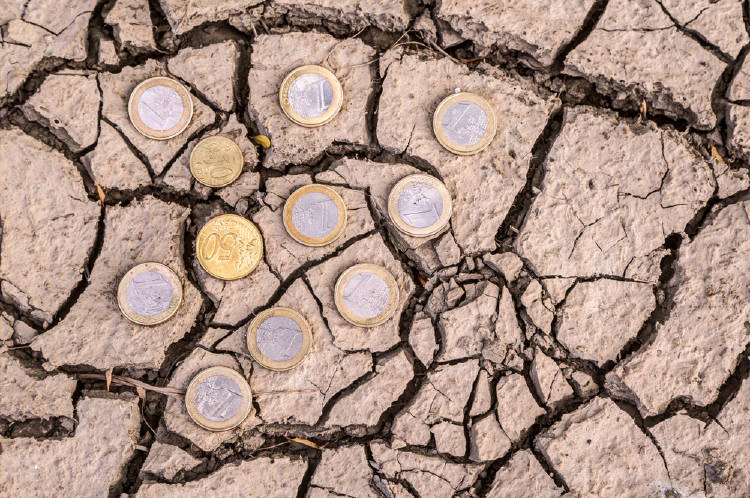 sequia monedas sequia monedas