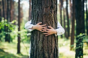 Edad de un árbol