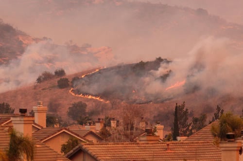 El parque estatal más antiguo de California ha sido devastado por los incendios forestales