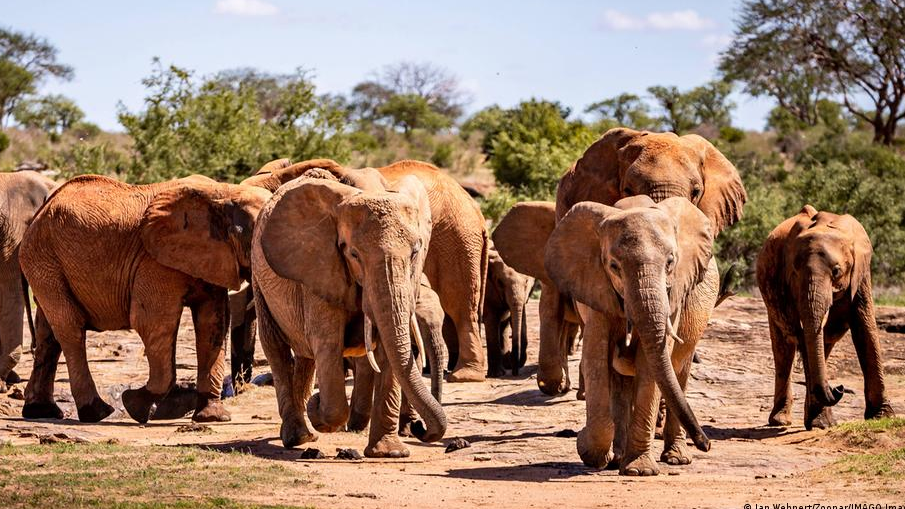 67402200_1004 67402200_1004