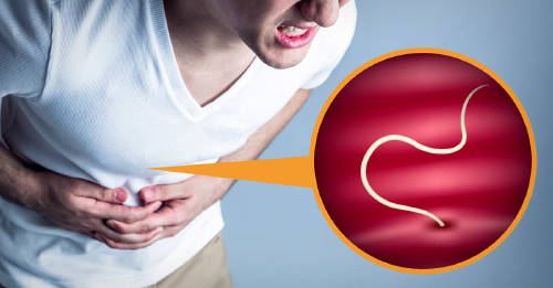 sintomas parasitos intestinales sintomas parasitos intestinales