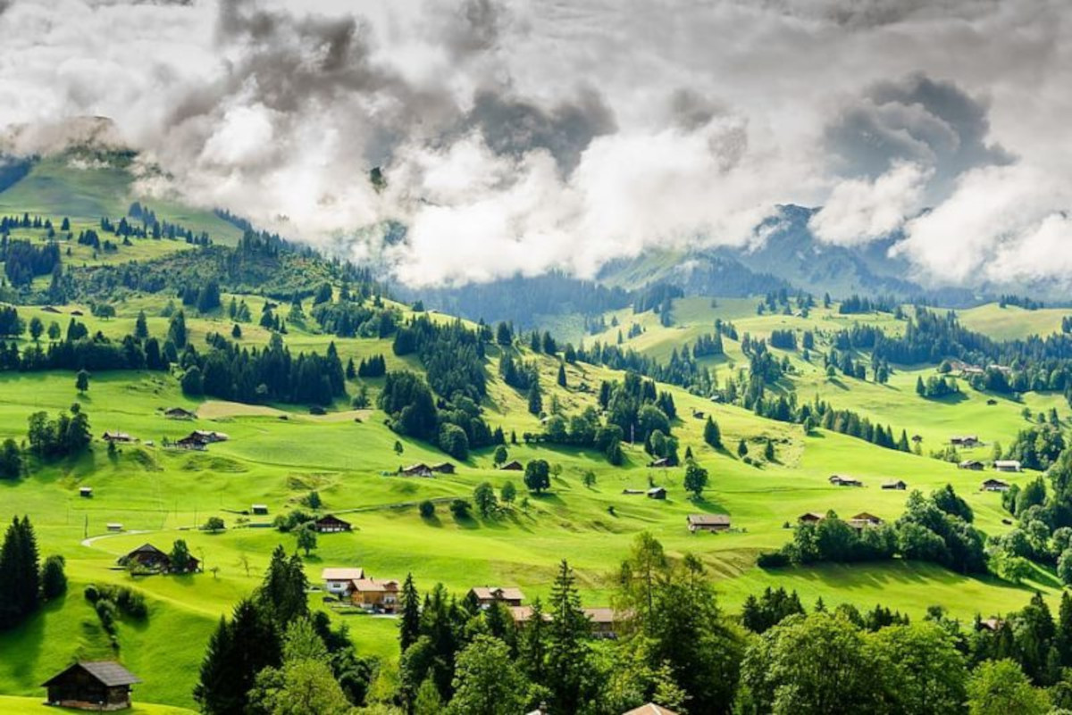 pais verde pais verde