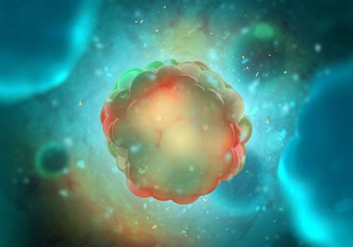 Cáncer: cuáles son los alimentos más protectores y nocivos