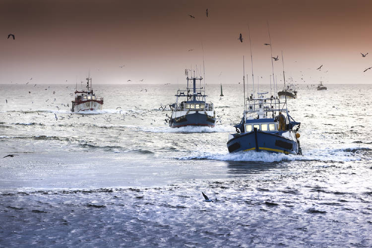 shutterstock_136757609 shutterstock_136757609