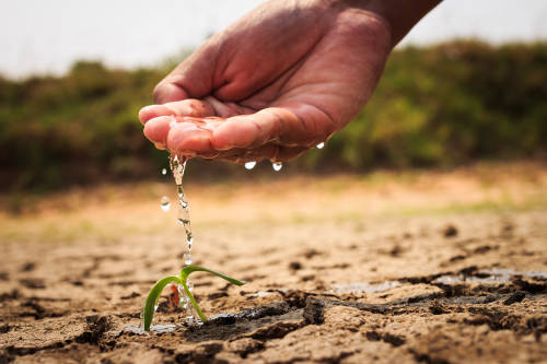 Hábitos para reducir la huella hídrica y preservar los recursos del planeta