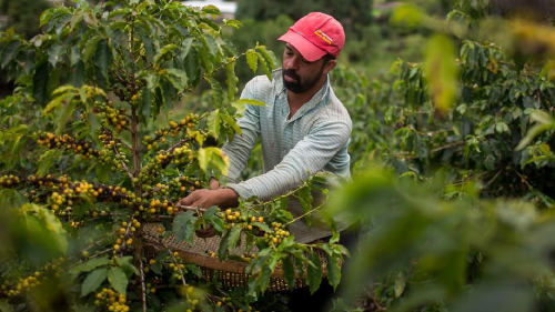 57986955_1004 57986955_1004