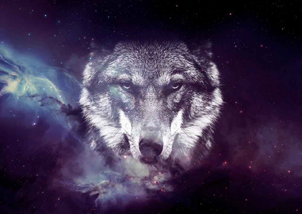 Que Son Los Animales Espirituales Y Como Saber Cual Me Corresponde Bioguia