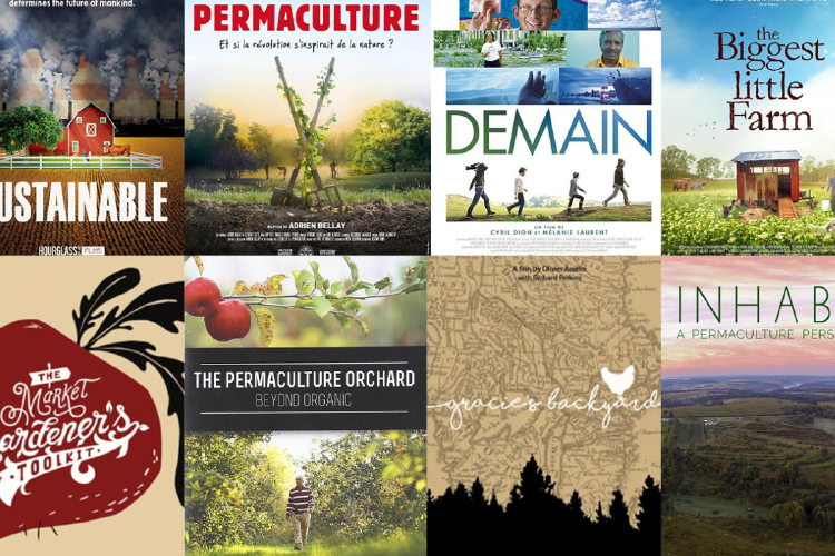 documentales Estos documentales no solo te llenan de data botánica, también te abren el corazón verde. (Foto: Chatgpt)