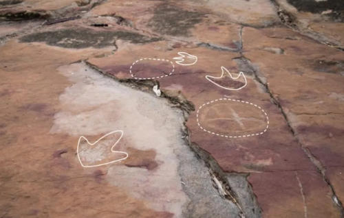 huellas dinosaurios petroglifos2 huellas dinosaurios petroglifos2