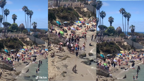 _portada bioguia (8) _portada bioguia (8)