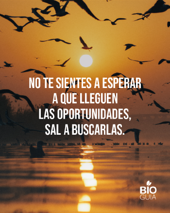 Frases para web (5) Frases para web (5)