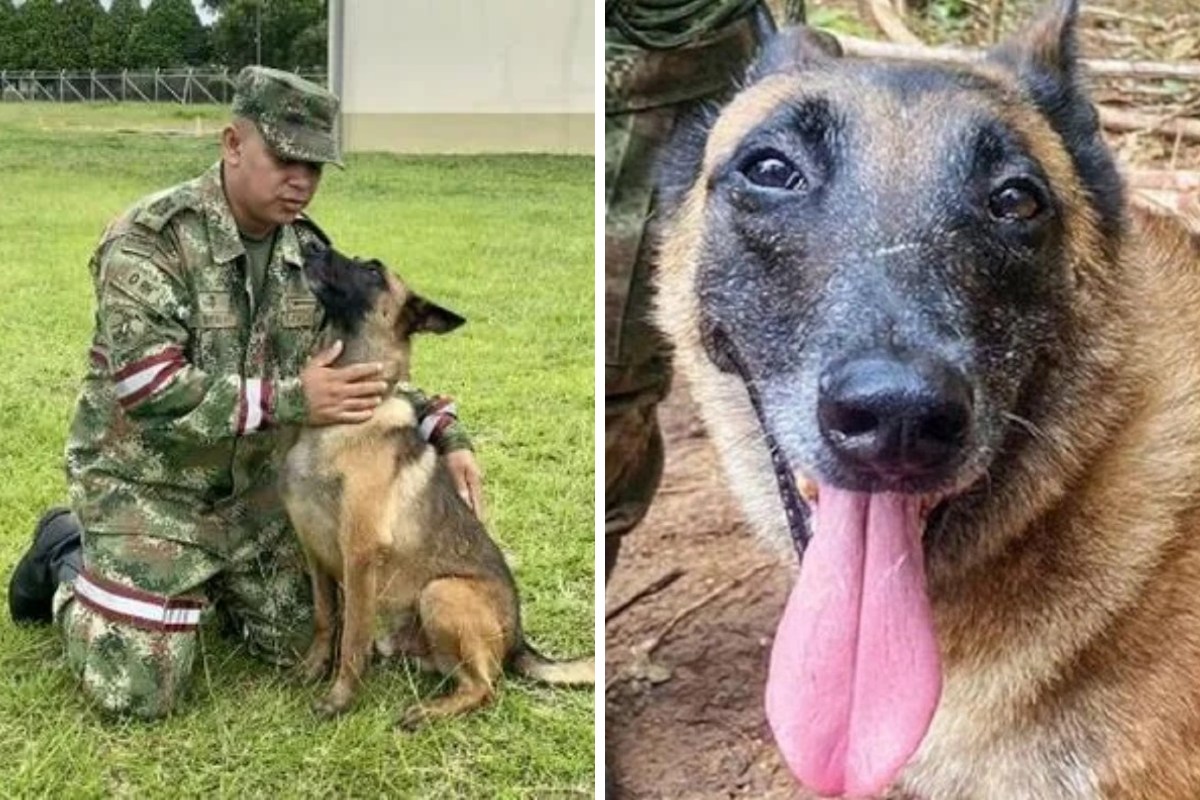 Collage portadas notas(4) Collage portadas notas(4)