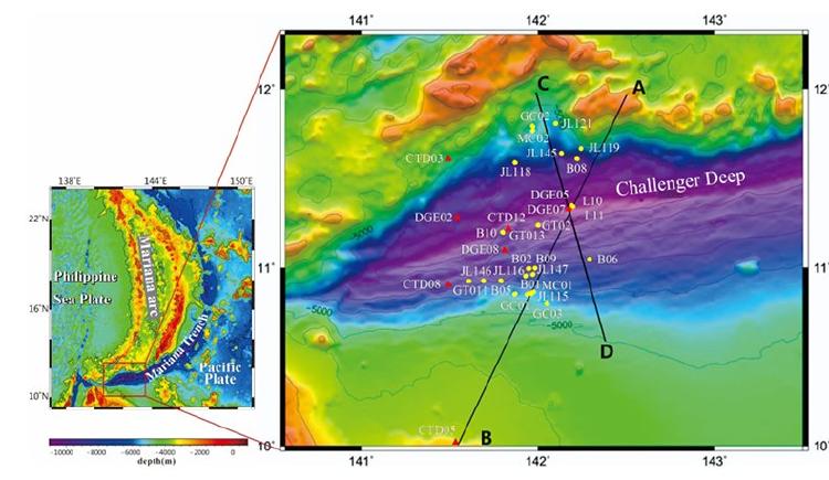 Plástico en Marianas del Pacífico Geochemical Perspectives Letters Plástico en Marianas del Pacífico Geochemical Perspectives Letters