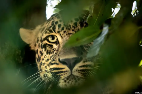 Collage portadas notas(12) Collage portadas notas(12)