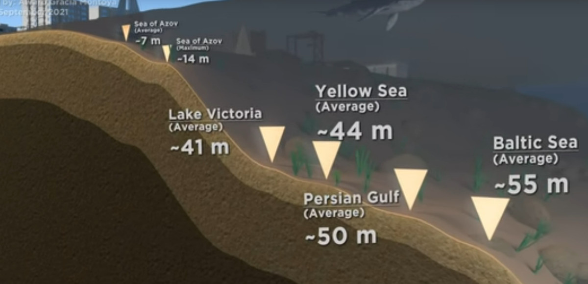 video titanic video titanic