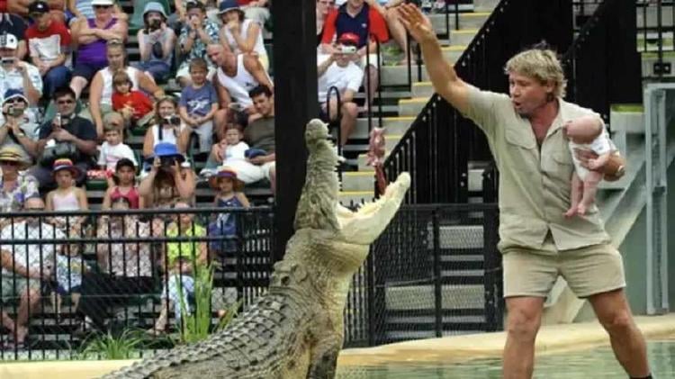 steve irwing steve irwing