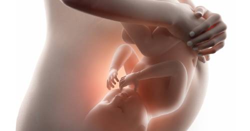 Esto Es Lo Que Experimenta El Bebe Cuando La Madre Llora De Tristeza Durante El Embarazo Bioguia Esto Es Lo Que Experimenta El Bebe Cuando La Madre Llora De Tristeza Durante El Embarazo Bioguia