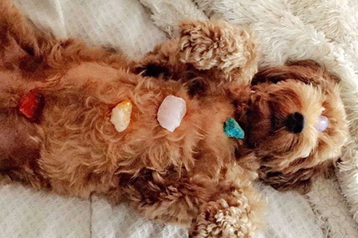 Diseño sin título 2024 10 22T195343.055 Diseño sin título 2024 10 22T195343.055