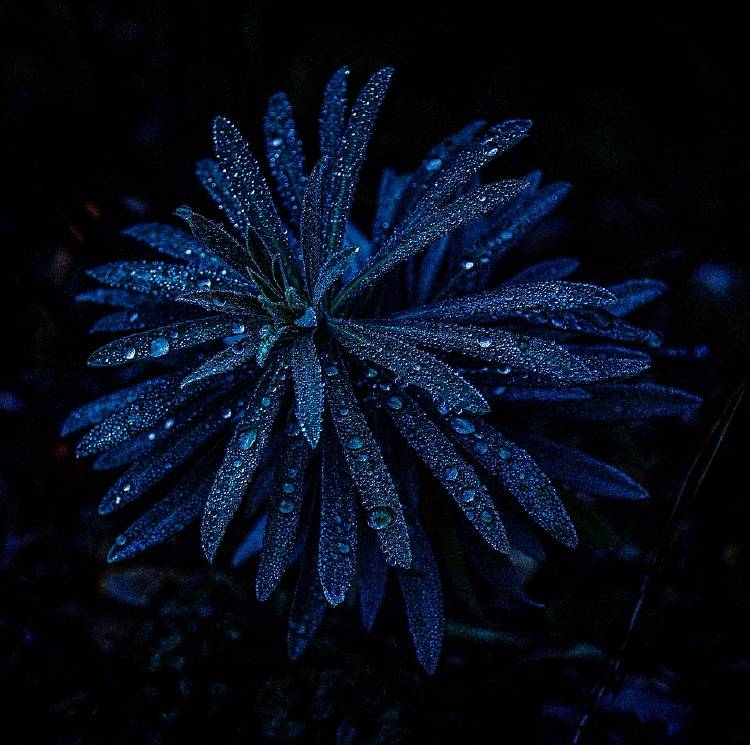 Agora 6 naturaleza a oscuras @caro.rovira España Agora 6 naturaleza a oscuras @caro.rovira España