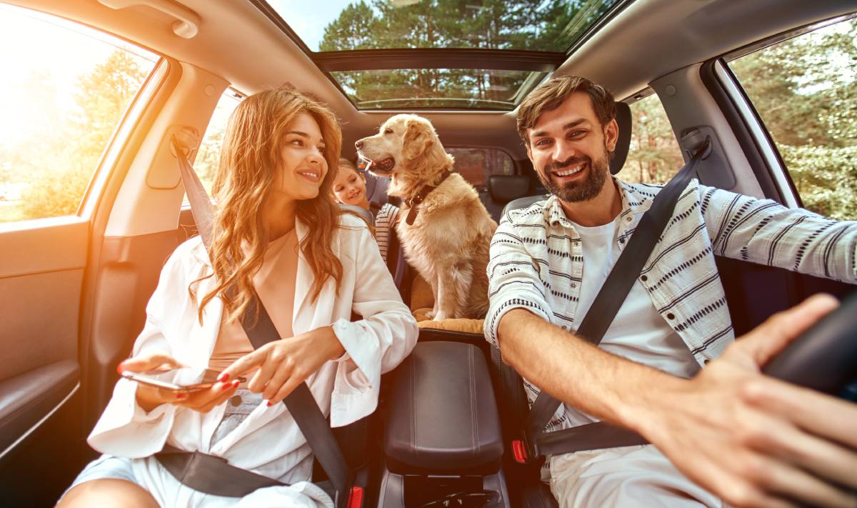 Viajar en auto con mascotas