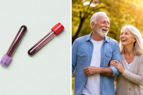 sangre vitalidad Imagen: IA