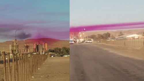 _portada bioguia (26) _portada bioguia (26)