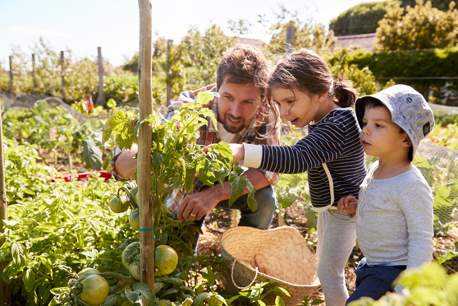jardin casero agricultura urbana padre e hijos sembrando plantas en jardin casero agricultura urbana