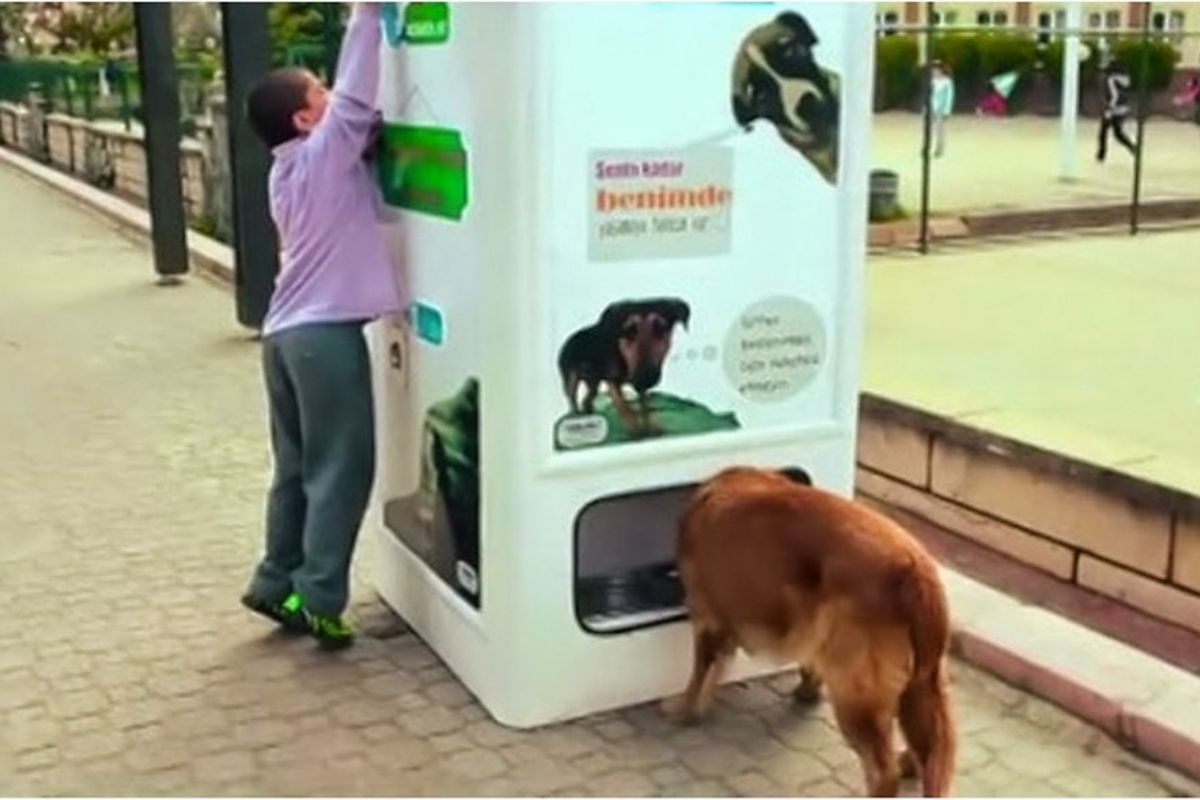 Imagen: opetsustentavel.wixsite.com