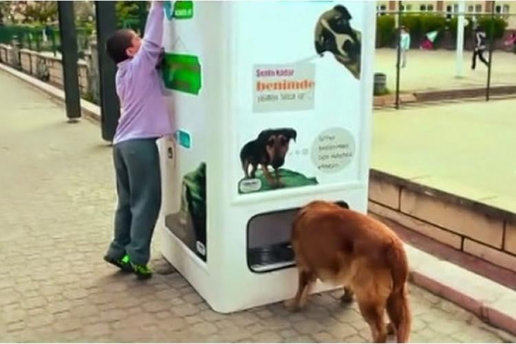 reciclaje Imagen: opetsustentavel.wixsite.com