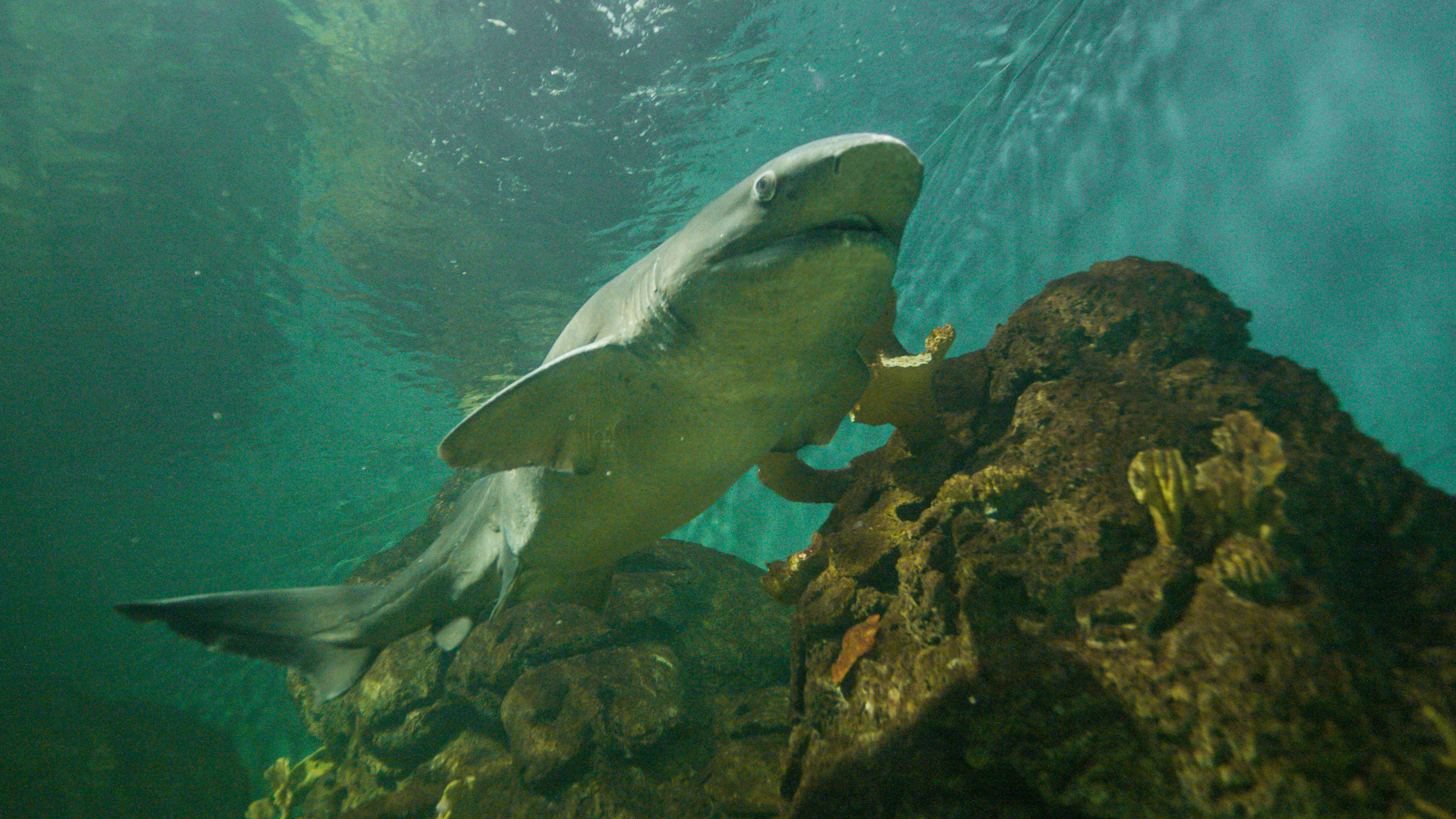 _MG_0769 Joaquín Ghiorzo _MG_0769 Joaquín Ghiorzo