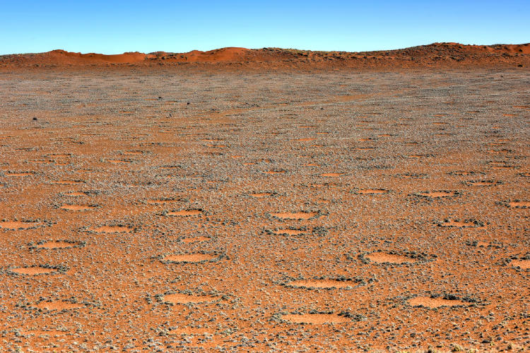 circulos de angeles AdobeStock_92334766 circulos de angeles AdobeStock_92334766