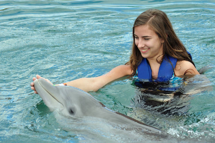 Nadar con delfines