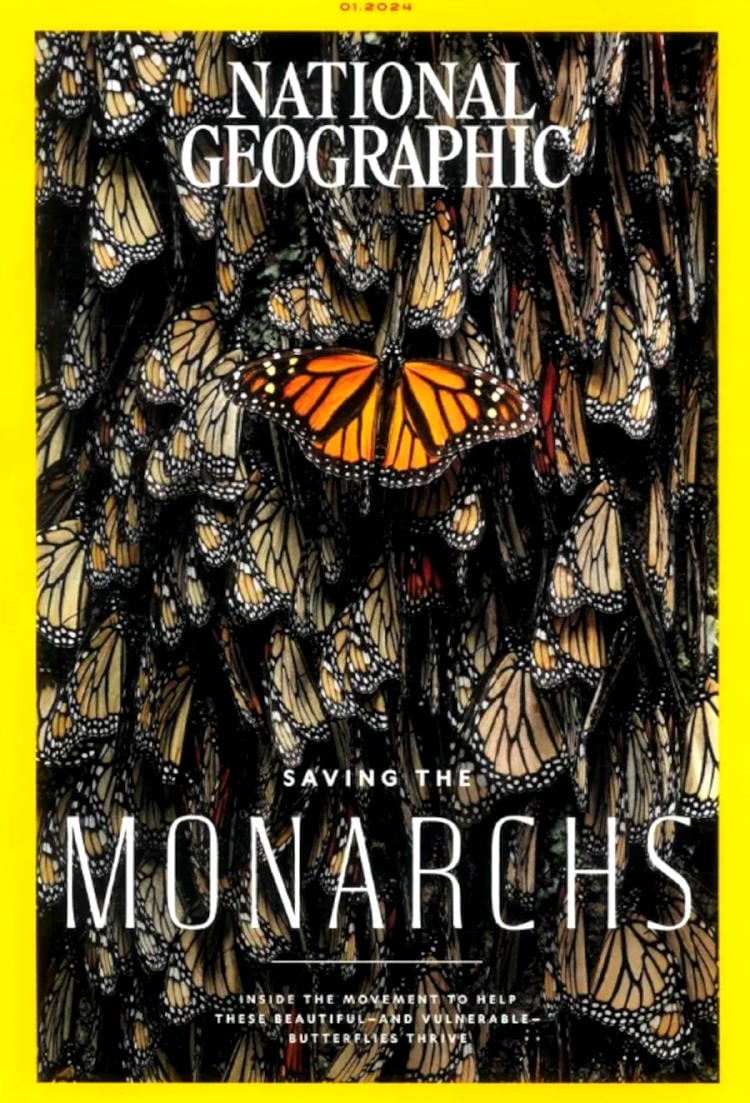 national geographic mariposas monarca