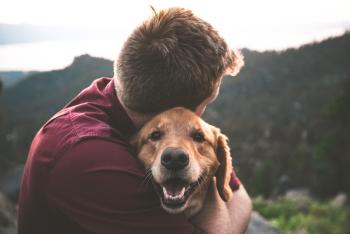 perro  perro