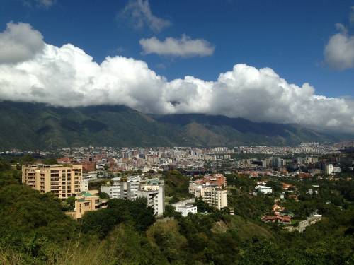 Venezuela ya tiene su primer mural ecológico y es hermoso