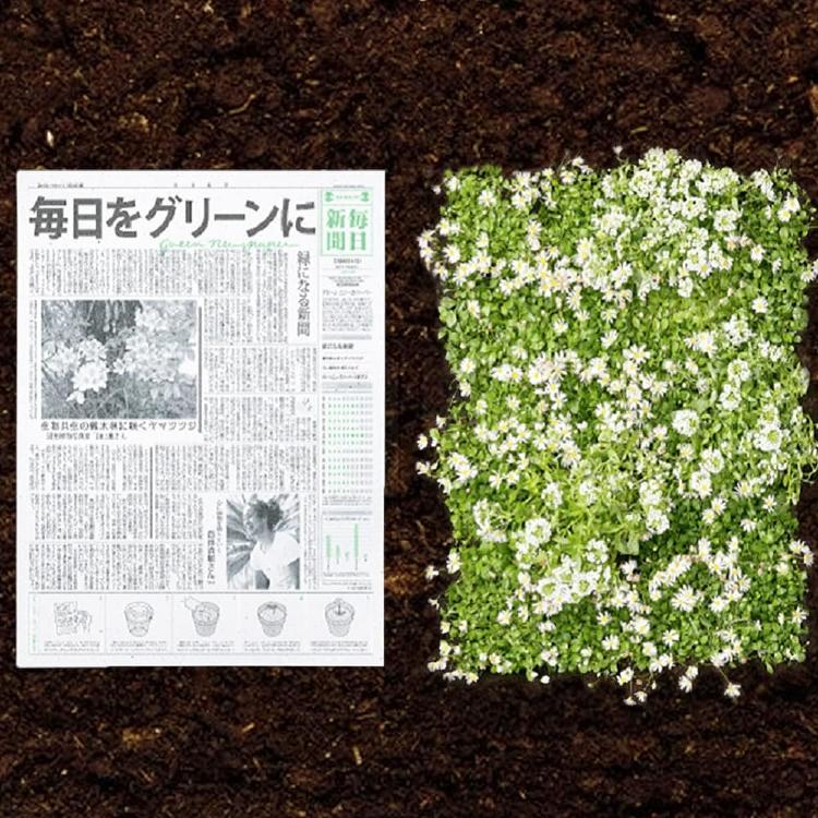 periodico ecologico periodico ecologico