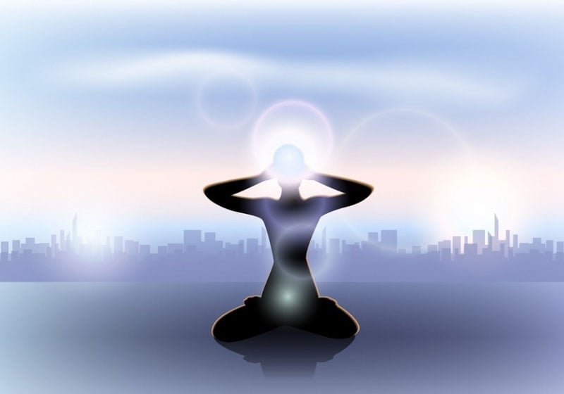 glándula pineal glándula pineal