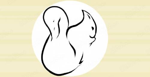 ¿Conejo o ardilla? Lo que ves primero en este test revela aspectos ocultos de tu sexualidad