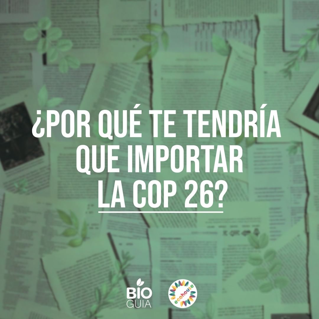 251270296_288085999777791_3069933077774150032_n 251270296_288085999777791_3069933077774150032_n